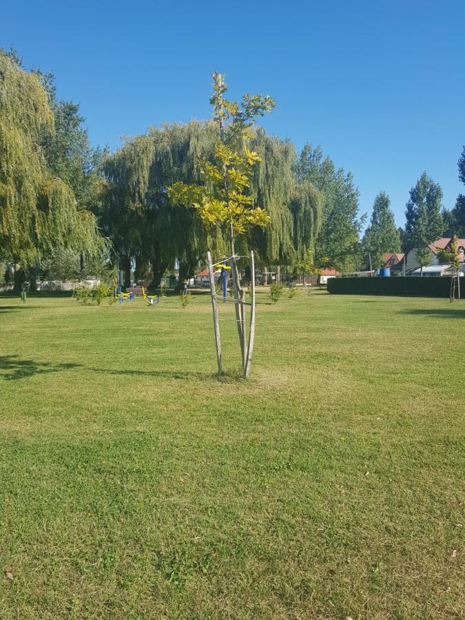 Berény Panzió Acomodação com café da manhã Balatonberény Exterior foto